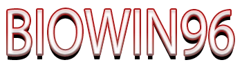 BIOWIN96 Logo